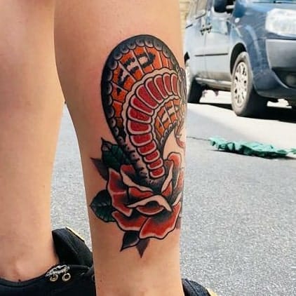 Cobra tradicional